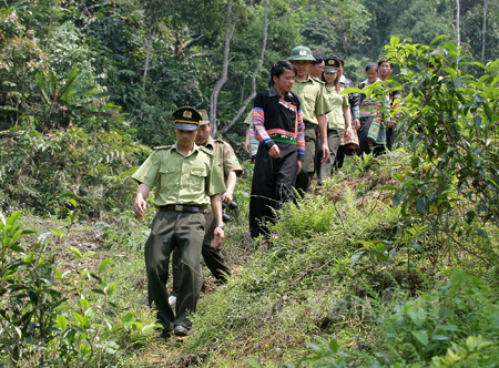 Cán bộ kiểm lâm huyện Văn Chấn tăng cường tuần tra bảo vệ rừng.
